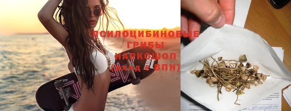 PSILOCYBIN Балабаново