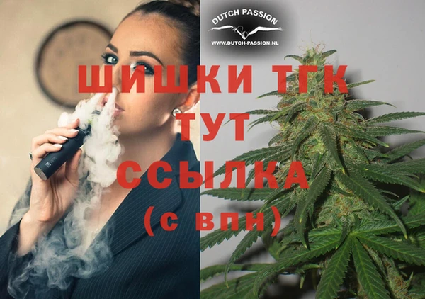 PSILOCYBIN Балабаново
