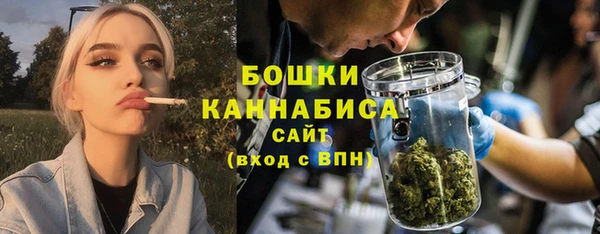 PSILOCYBIN Балабаново